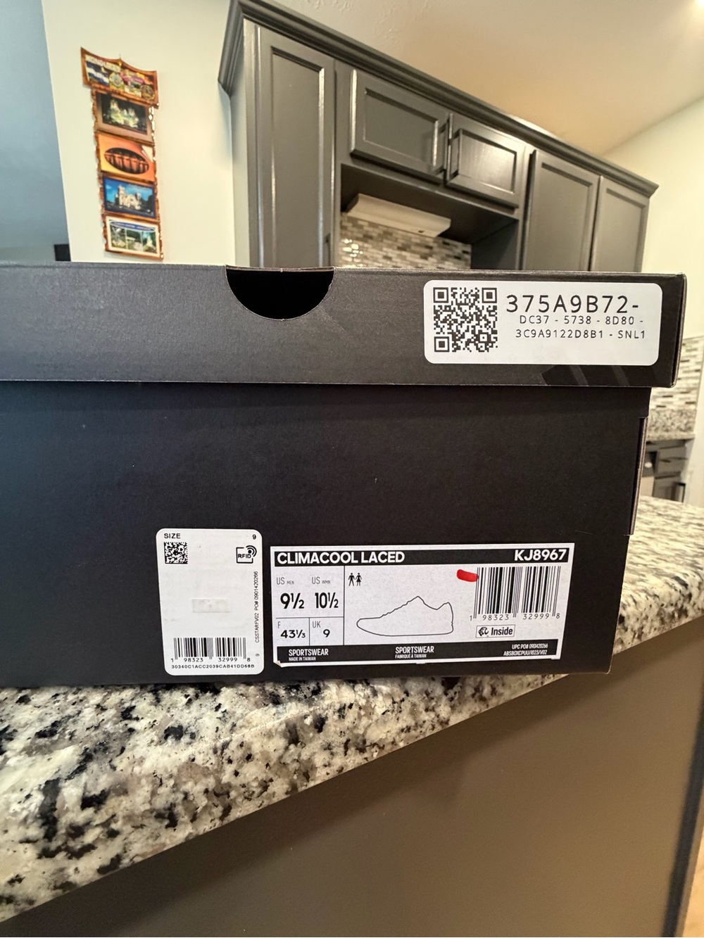 adidas Black Climacool Laced Shoe Box